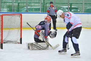 19.12.2020. День Российского хоккея