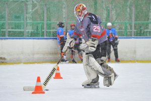 19.12.2020. День Российского хоккея