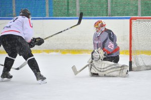 19.12.2020. День Российского хоккея