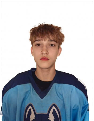 Берсенев  Артем  Андреевич