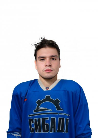 Вдовин  Дмитрий  Сергеевич