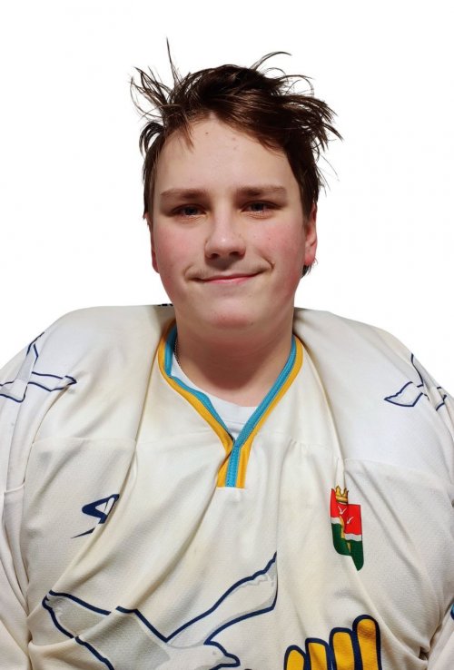 Давыдов  Ярослав  Денисович