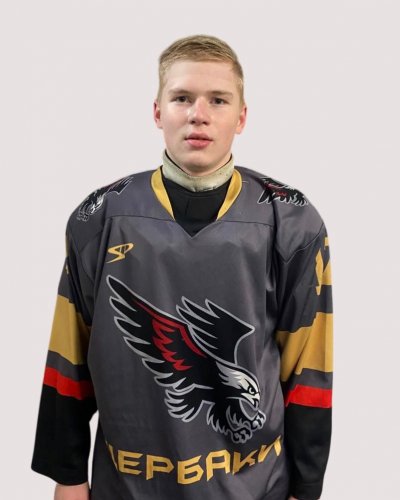 Селезнёв  Роман  Евгеньевич