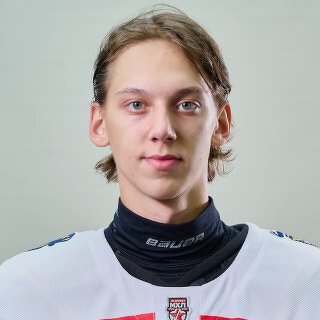 Демидов  Игорь  Алексеевич