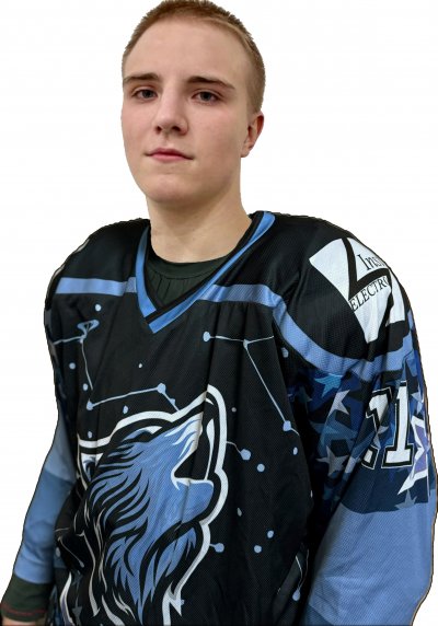 Ильин  Александр  Иванович