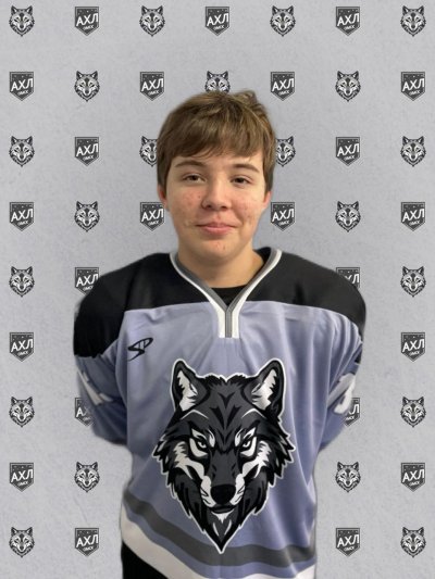 Голузов  Александр  Сергеевич