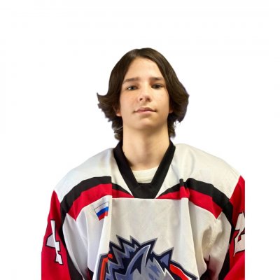 Порошин  Владислав  Дмитриевич