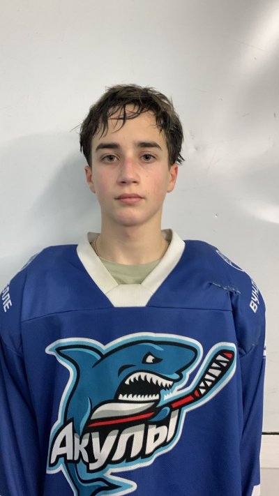 Плесовских  Илья  Андреевич