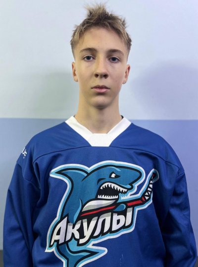 Сентюрин  Владимир  Иванович