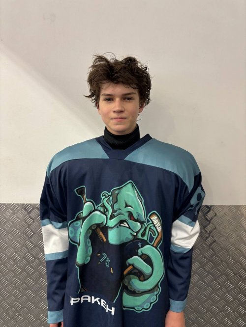 Лисотов  Артем  Антонович