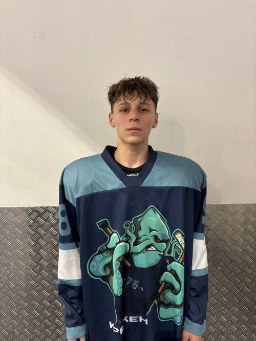 Гергель  Арсений  Алексеевич