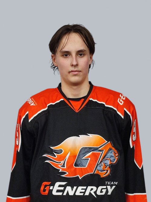 Градович  Владимир  Игоревич