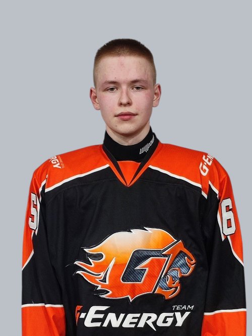 Серков  Дмитрий  Игоревич